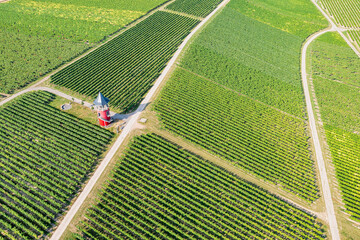 A bird's-eye view of the Burgundy Tower of Wörrstadt in Rheinhessen, surrounded by vineyards