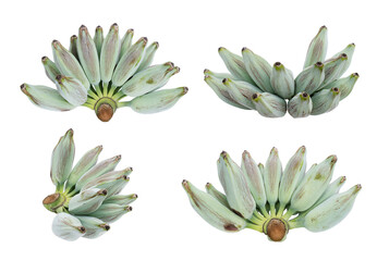Tropical banana fruit isolated on white background
