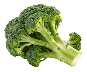 Fresh green broccoli vegetable healthy eating raw food vegan diet nutritious ingredient close up isolated