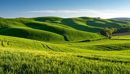 Naklejka premium fields in thailand on background 