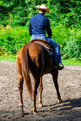 Cowboy on horseback during an outdoor race