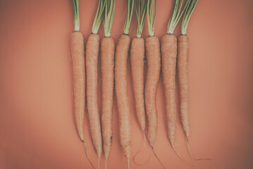 Overhead view of a  row of eight freshly picked carrots on an orange background