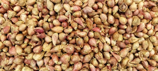 close up photo of a pile of Shallots