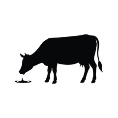 Silhouette of a cow drinking water from a puddle in black