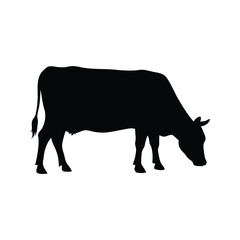 Silhouette of a cow grazing in a field on a white background