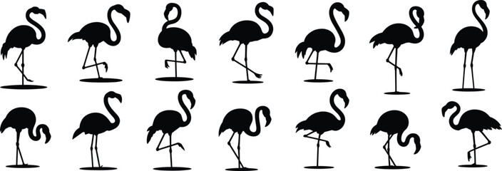 Flamingo silhouette vector collection, elegant bird poses, tropical wildlife design, black flamingos standing, exotic bird clipart for nature illustration flat vector illustration