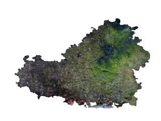 High-resolution PNG image of moss growing on concrete surface, isolated with transparent...