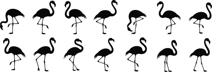 Flamingo bird silhouette vector collection, standing flamingos, tropical bird graphic design, wildlife icon set, elegant flamingo pose art flat vector illustration