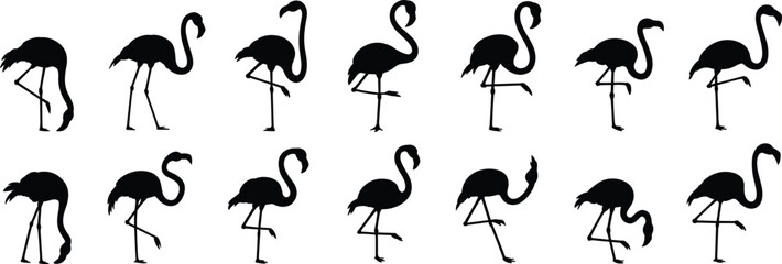 Flamingo bird silhouettes in various poses, tropical animal collection, elegant flamingo icon set for vector design, wildlife illustration pack flat vector illustration