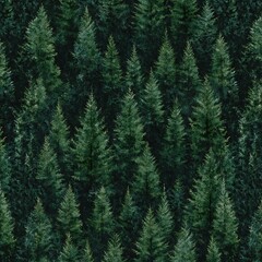 Fototapeta premium tree background
