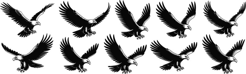 Flying bald eagle silhouette illustration, fierce hunting bird, powerful wings spread, raptor in flight, wildlife vector art, majestic predator pose flat vector illustration