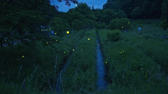 信州辰野ほたる祭り