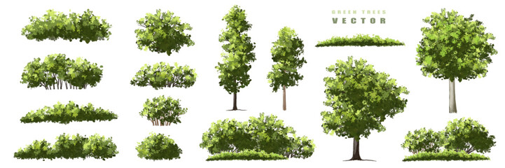 Vector of green tree side view isolated on white background ,watercolor tree elevation for landscape concept,environment scene,eco design, garden for spring