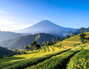 Fototapeta premium Beautiful Landscape Of Indonesia