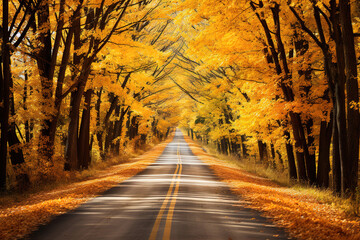Obraz premium Peaceful Road in Sweden with Colorful Autumn Trees