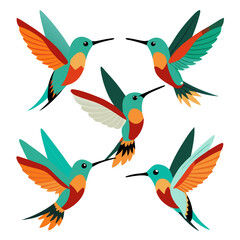 Five colorful hummingbirds with teal bodies orange and red accents and long black beaks are depicted in a flat cartoon style against a plain white