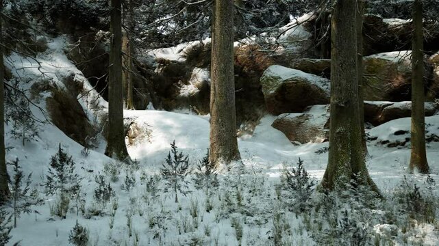 The winter forest features tall trees surrounded by a blanket of snow, with rocky formations partially visible. A serene landscape evokes a peaceful, chilly atmosphere typical of cold months.