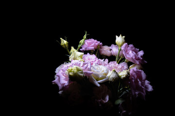 bouquet of beige and purple eustoma on black background
