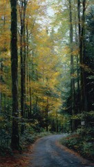 Autumnal forest path