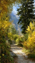 Autumn path through a mountain valley. Sunlight filters through colorful foliage