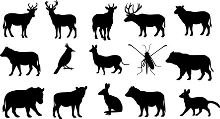 Naklejka premium Vector silhouettes of animals (mammals, birds, fish, insects)