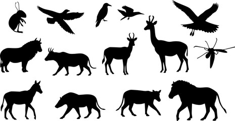 Vector silhouettes of animals (mammals, birds, fish, insects)