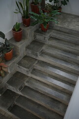 Indoor Stone Steps with Planters Architectural Detail