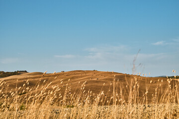 Scorcio panoramico della Val d&rsquo;Orcia in Toscana.