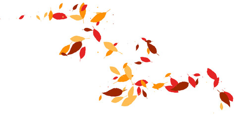 Leaves. Yellow, red, orange, brown colors. Scattered autumn leaves Unusual abstract texture Vector