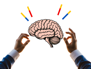 Brain Power Unveiled: A captivating illustration of the human mind at work, with hands seemingly cradling the essence of intellect, sparking innovation, knowledge, and brilliance.