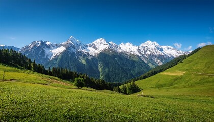 majestic mountain range with snow capped peaks and lush green meadows under a clear blue sky in summer