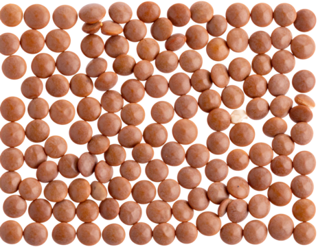 Balloons balloon Photo Overlays, Photography Overlays, clip art, clipart, png .jpg - Firefly_lentils isolated on transparent 