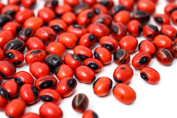 Detailed view of bright red and black abrus precatorius seeds on white surface
