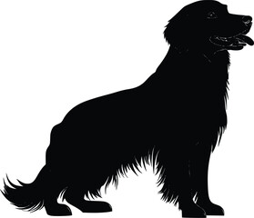 Obraz premium Elegant Golden Retriever Vector Silhouette: Sitting Dog Profile