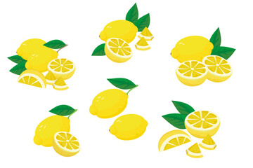 フレッシュな黄色いレモンのベクターイラスト。カットしたレモンと丸ごとのレモンの組み合わせのセット。