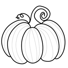 Outline vector illustration of a pumpkin - hand drawn vector illustration 