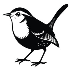 Elegant Black and White Wren Illustration Captivating Avian Art for Nature Enthusiasts
