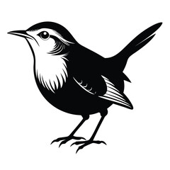 Elegant Silhouette of a Wren Bird Perched on a Branch Depicting Nature's Charm