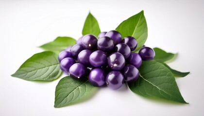 fresh nightshade berries displayed against a white background highlight their small size and distinct flavor the vibrant green leaves complement their rich color and appeal