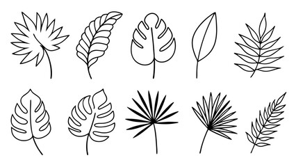 Tropical leaves line art bundle, Outline botanical vector icons including monstera, palm, banana, fern, palm fan silhouettes
