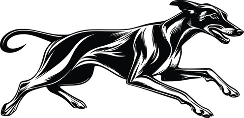Obraz premium Vector illustration: Sleek black Greyhound, dynamic running pose, artistic style.