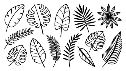 Tropical leaves line art bundle, Outline botanical vector icons including monstera, palm, banana, fern, palm fan silhouettes