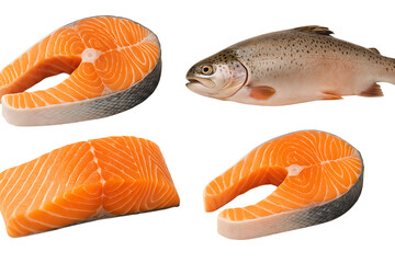 Set of fresh raw salmon trout fish slices and steaks isolated on transparent background