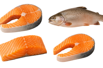 Set of fresh raw salmon trout fish slices and steaks isolated on transparent background