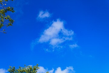 Blue Sky with White Clouds and a Touch of Green, bright sky, summer background, beautiful blue color, natural light, heaven atmosphere.