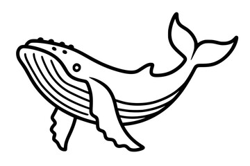 humpback whale illustration