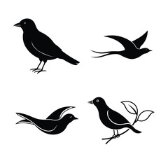 Obraz premium silhouette Birds bundile