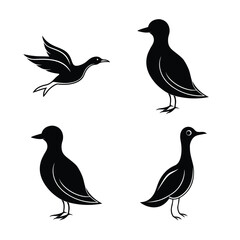 silhouette Birds bundile