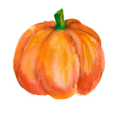 Pumpkin. Hand drawn watercolor painting on white. Illustration with a bright autumn color. For decoration, recipes, menus, Thanksgiving, Halloween, prints on clothes, textiles, stickers, prints
