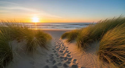 Fototapete Dünengras Sandy path through dune grass towards ocean sunset  © mr_studioo